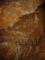 DSC01340