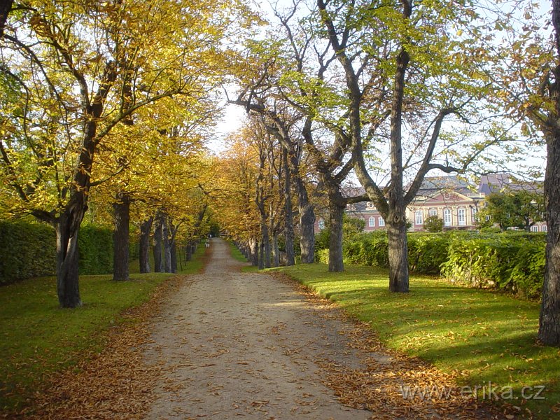 DSC01924.JPG