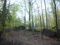 DSC00121