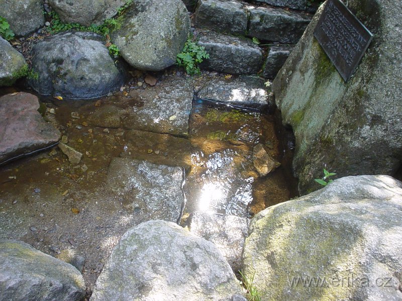 DSC00019.JPG
