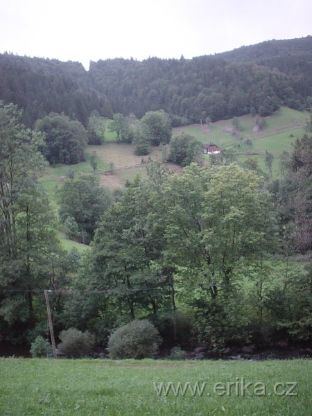 DSC00043.JPG