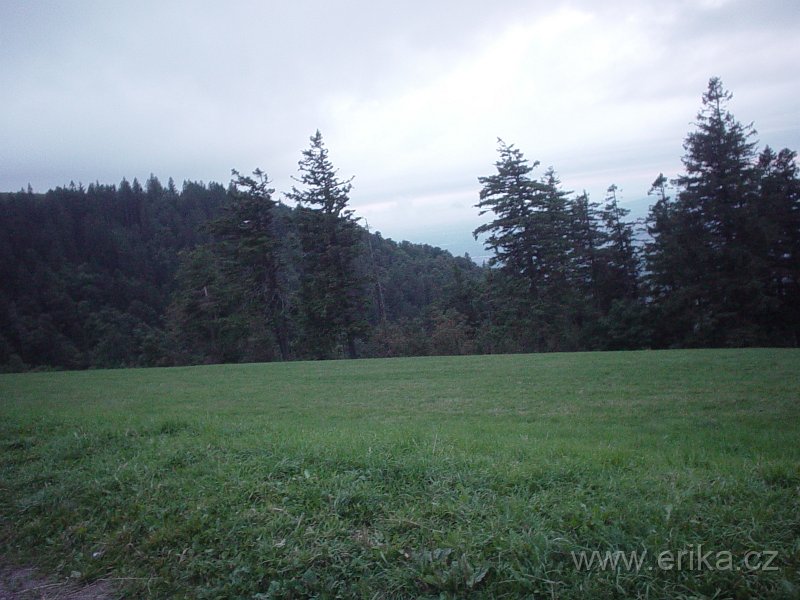 DSC00051.JPG