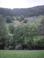 DSC00043