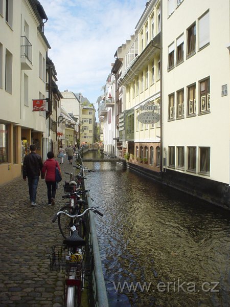 DSC00083.JPG