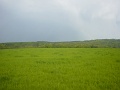 DSC00206