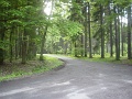 DSC00235