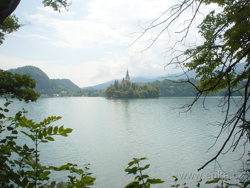 DSC00793.JPG