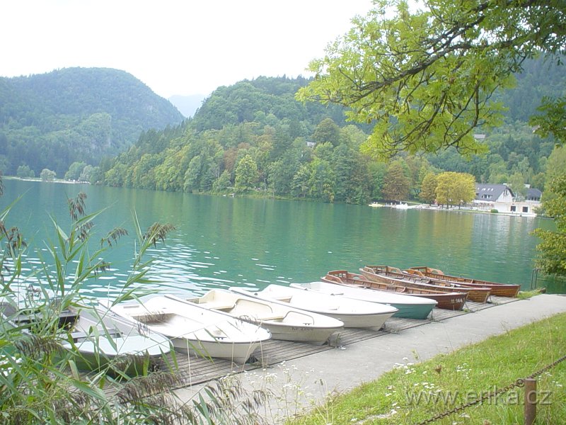 DSC00800.JPG