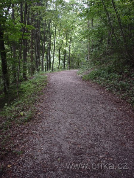 DSC00804.JPG