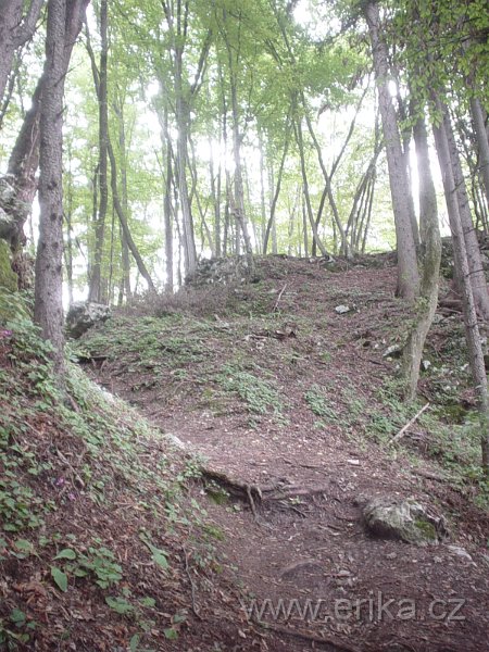 DSC00806.JPG