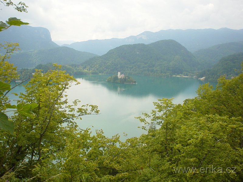 DSC00816.JPG