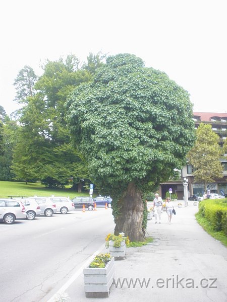 DSC00842.JPG