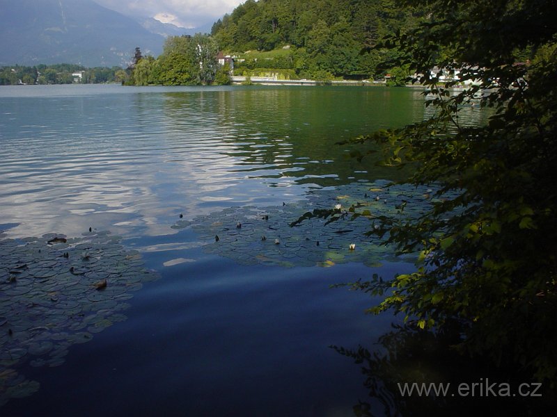 DSC00850.JPG