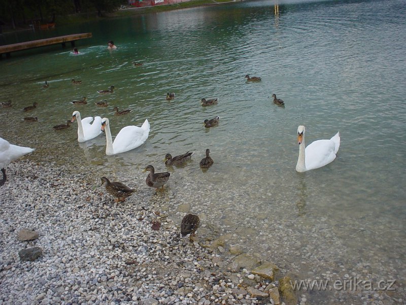 DSC00864.JPG