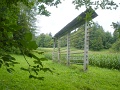 DSC00805