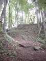DSC00806