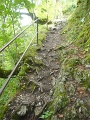DSC00807