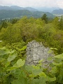 DSC00811