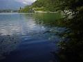 DSC00850