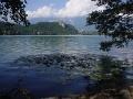 DSC00852