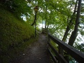 DSC00860
