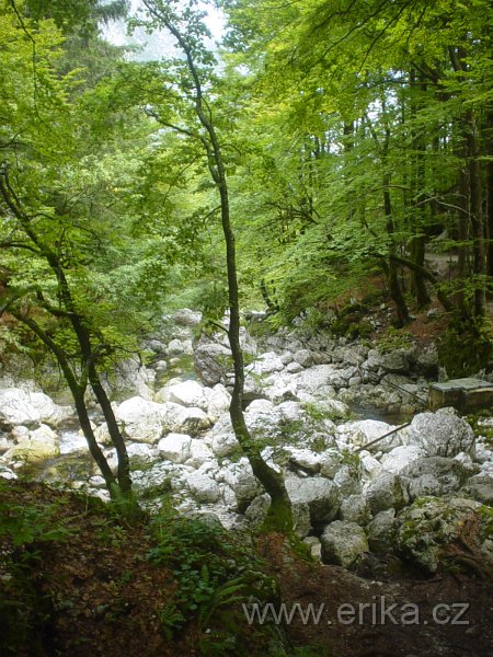 DSC00874.JPG