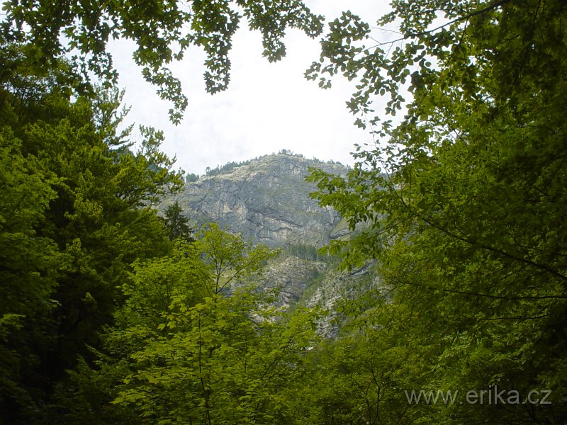 DSC00875.JPG