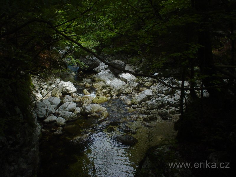 DSC00876.JPG