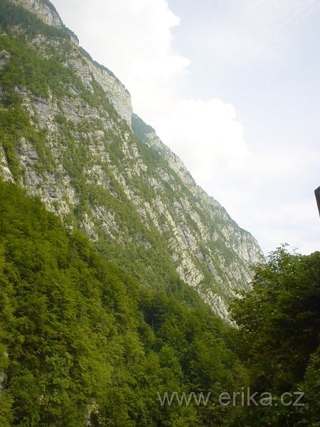 DSC00883.JPG
