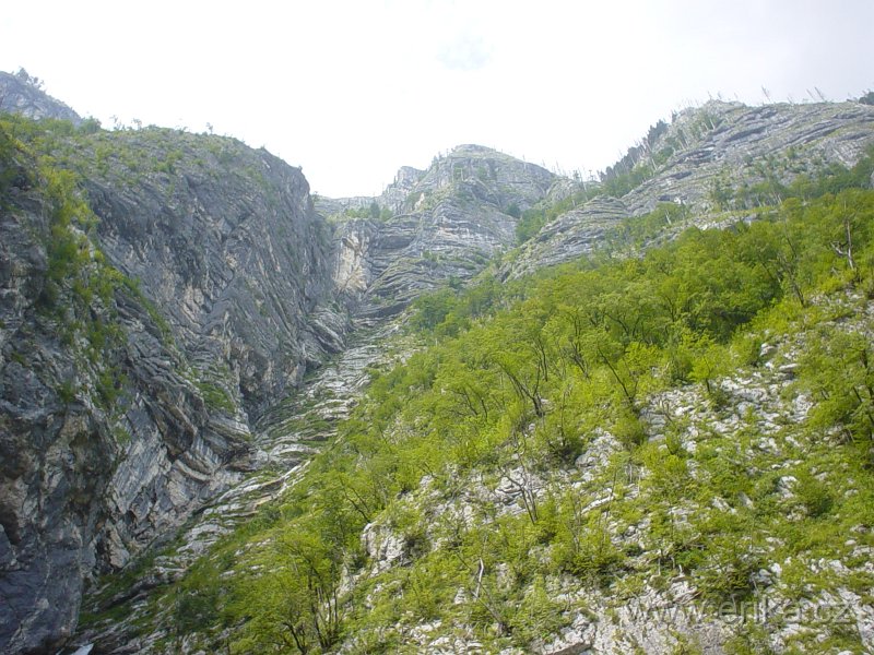 DSC00885.JPG