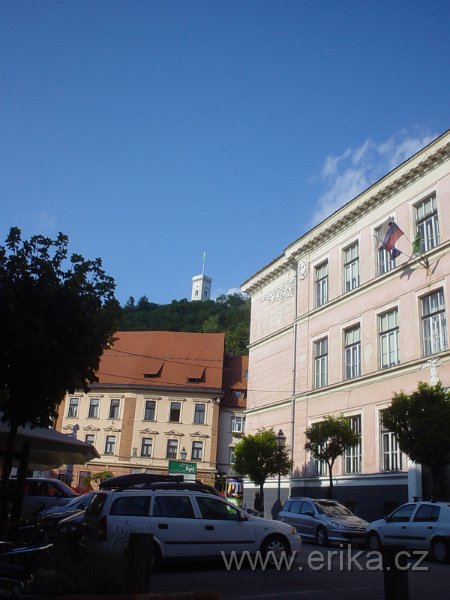 DSC00962.JPG