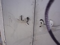 DSC00946