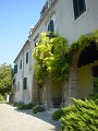 DSC00981