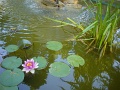 DSC00985