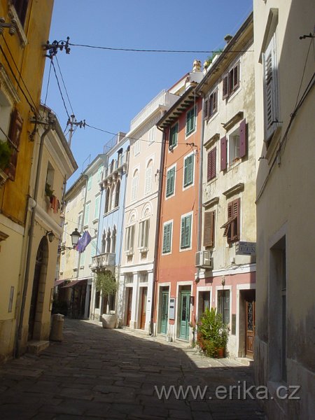 DSC01000.JPG