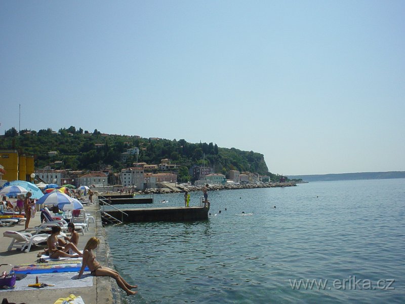 DSC01002.JPG