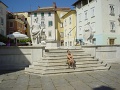 DSC01006