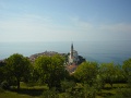 DSC01011