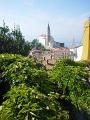 DSC01022
