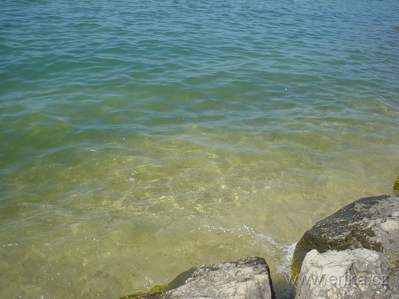 DSC01269.JPG