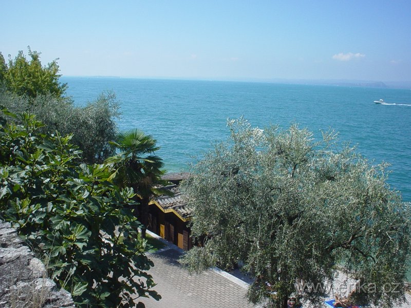 DSC01271.JPG