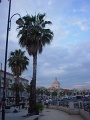 DSC00633