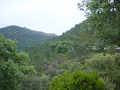 DSC00868