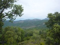 DSC00870