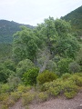 DSC00871