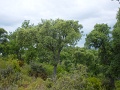 DSC00872