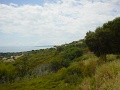 DSC00882