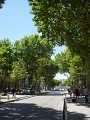 DSC00937