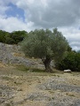 DSC01124