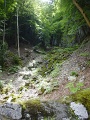 DSC01135